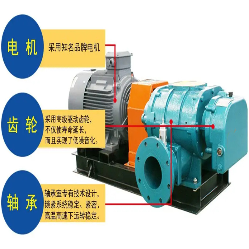 Roots blower made of cast steel material. Roots blower pneumatic conveying with high pressure increase and large flow rate