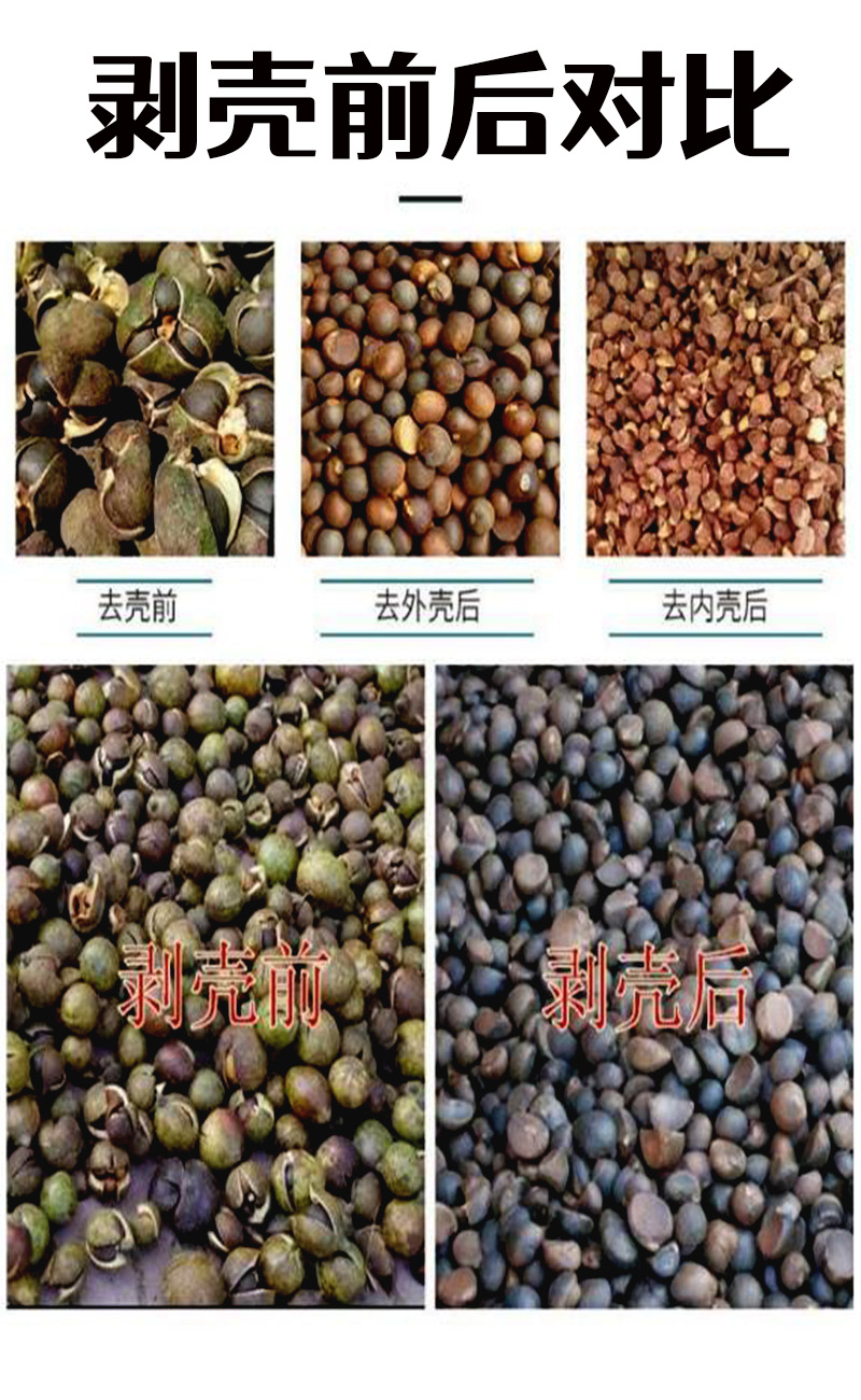 Dry and wet dual-purpose tea fruit shelling machine, two-phase electric tea seed shelling machine, small camellia seed shelling equipment