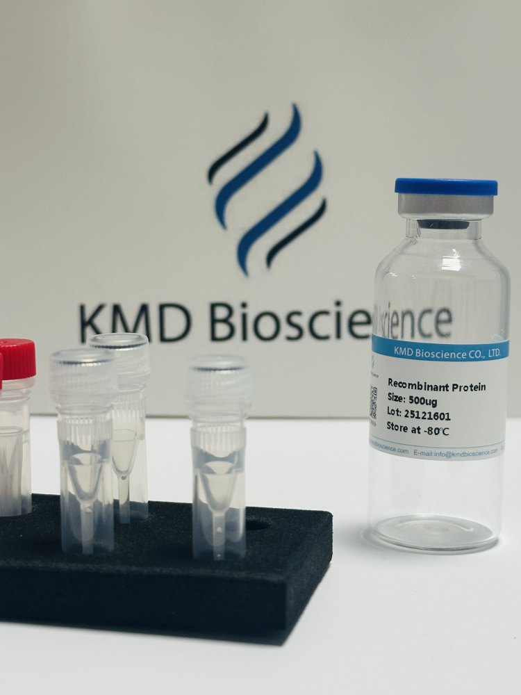 程序性死亡分子/Programmed cell death protein 1蛋白 免疫检查