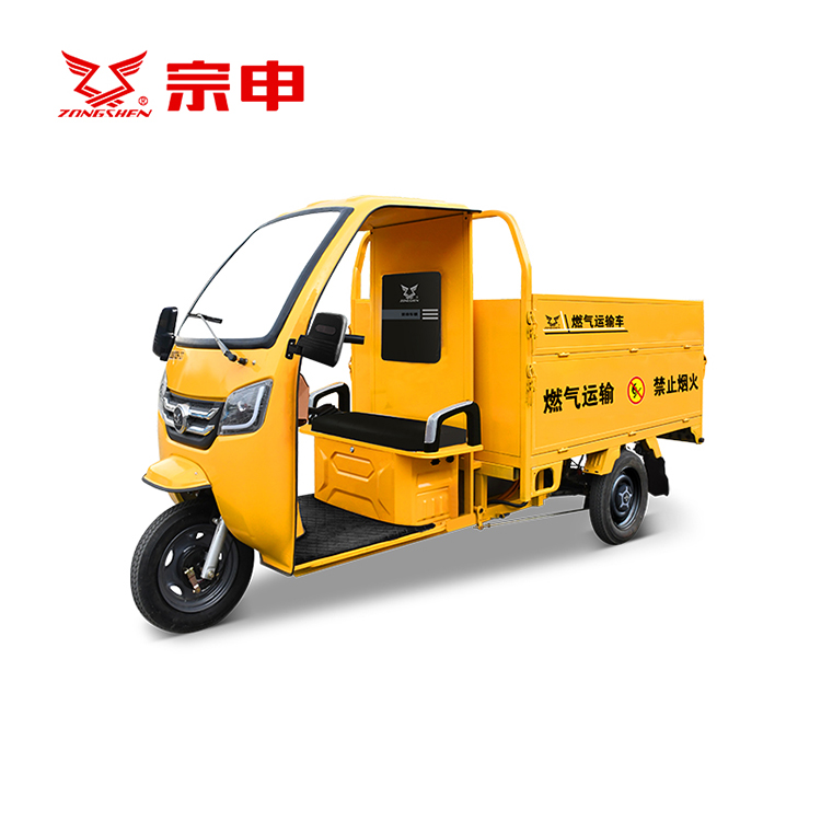 Zongshen Brand Gas Distribution Electric Tricycle Longyun 180 Delivery Assistant