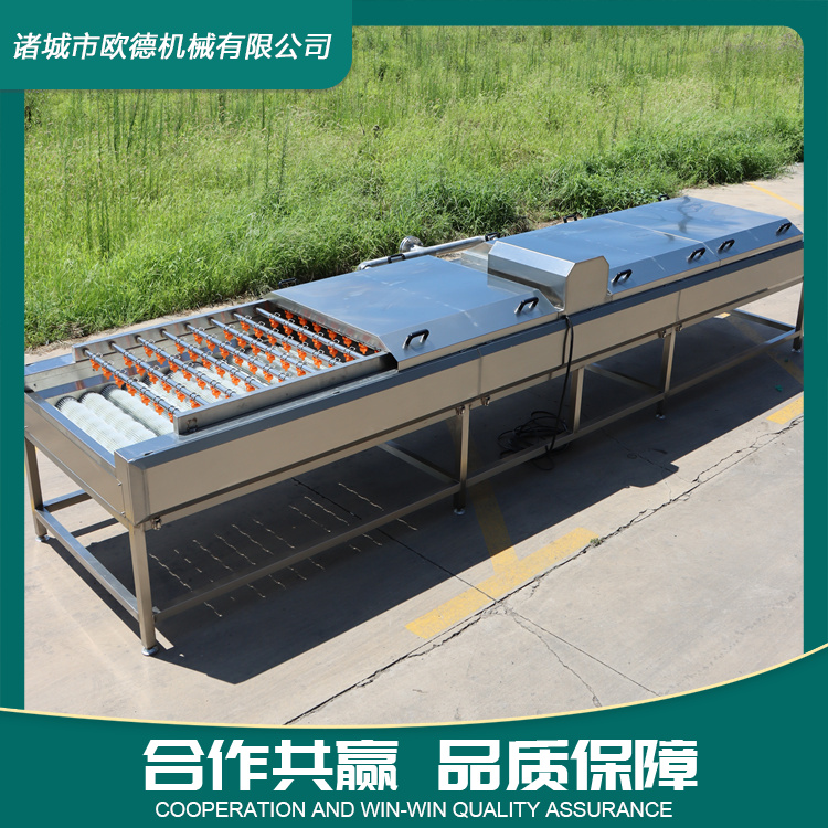 Oyster parallel hair roller cleaning machine, fully automatic seafood cleaning equipment, spraying up and down to remove mud