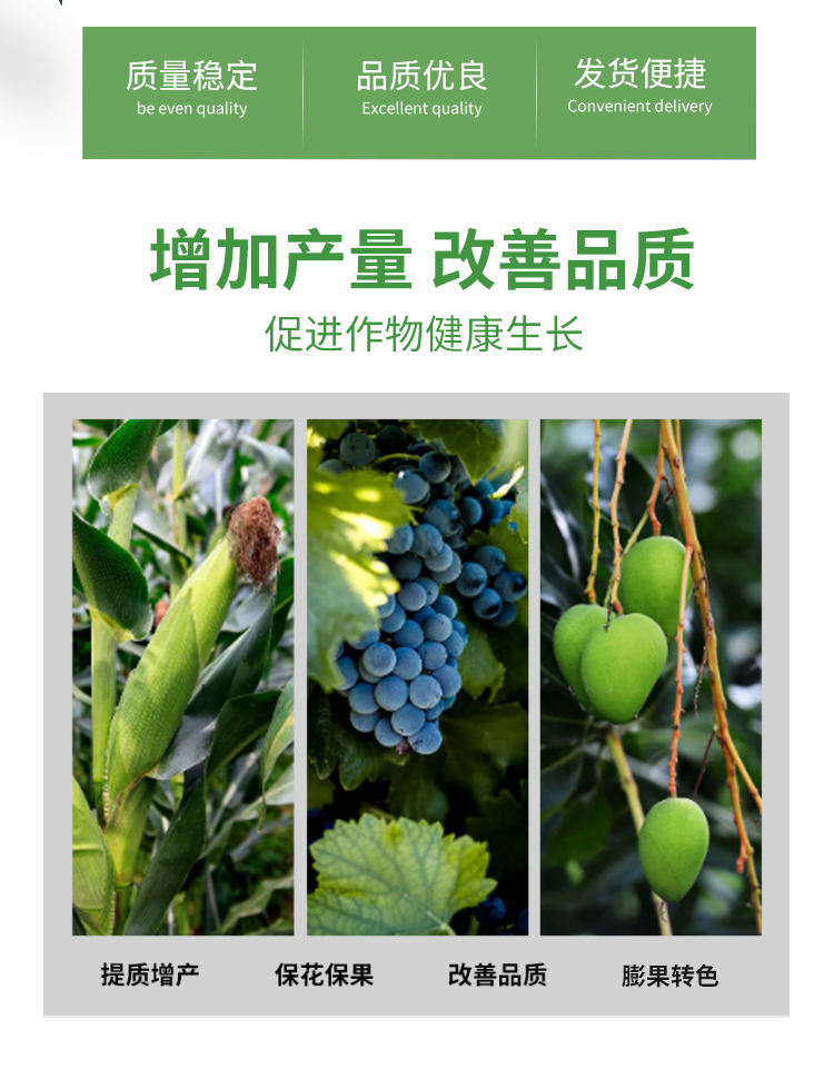 Seaweed boron liquid with high content of water-soluble boron fertilizer for fruit preservation and fruit setting, sold as polyphenols