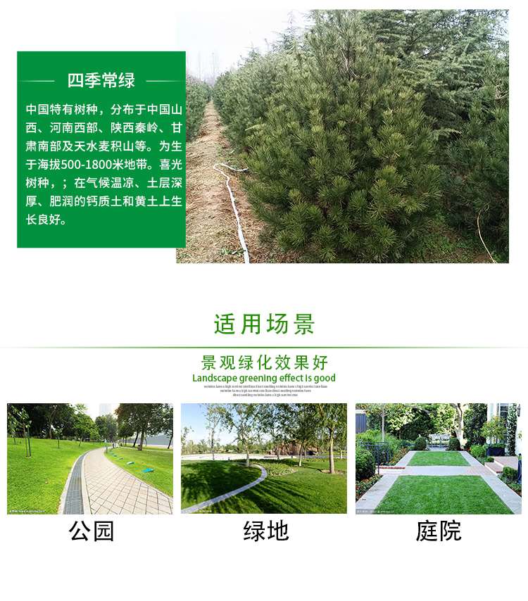 郑州市城市照明和美化景象服务中心2024年招标路途维护服务收购项目-揭露招标公告