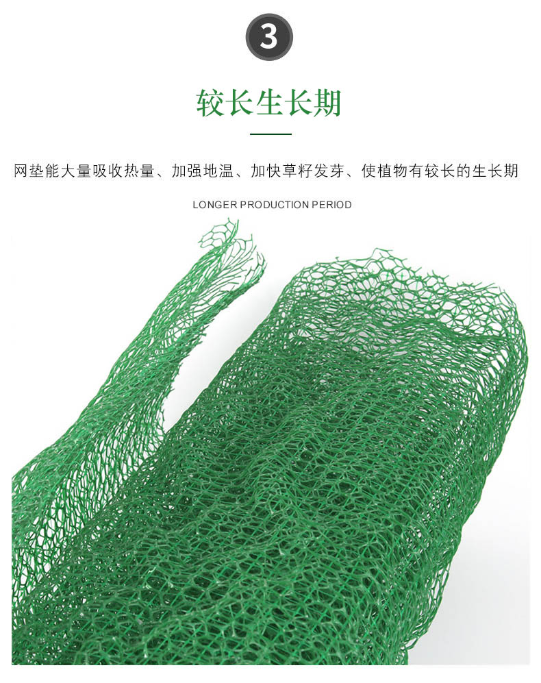 Green 3D Geonet Cushion for River Slope Protection, Vegetation Net Fixed U-shaped Nail for Soil and Water Protection