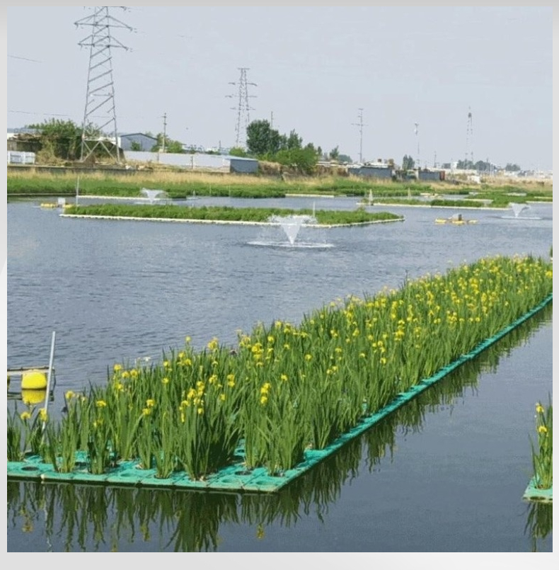 人工生态浮床 浮动湿地 适合湖泊 池塘 河道水体净化 博荣约20.00元(图15)