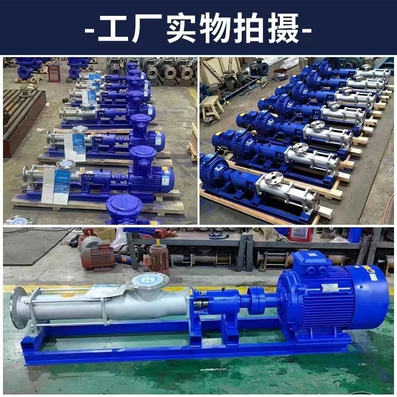 Manufacturer G type single Screw pump high lift sludge sewage special pump High pressure corrosion resistant cast iron stainless steel