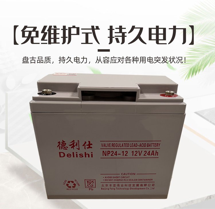 Delishi德利仕蓄电池NP24-12 12V24AH电力系统UPS直流屏配套电源