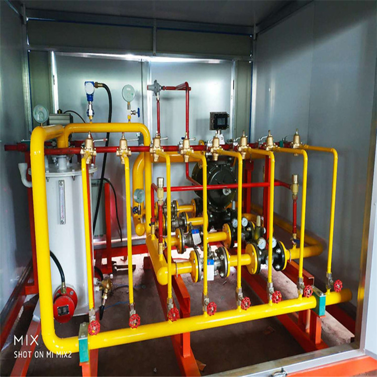 Supply RTQ1000cng Gas Pressure Regulating Device cng Pressure Regulating and Metering Skid Natural Gas Pressure Reducing and Metering Skid