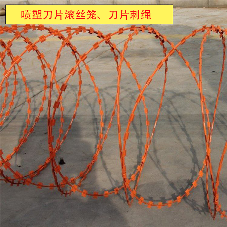 Hot dip galvanized mesh highway anti climbing blade stab rope A stab wire rolling cage BTO-22 Keyan metal