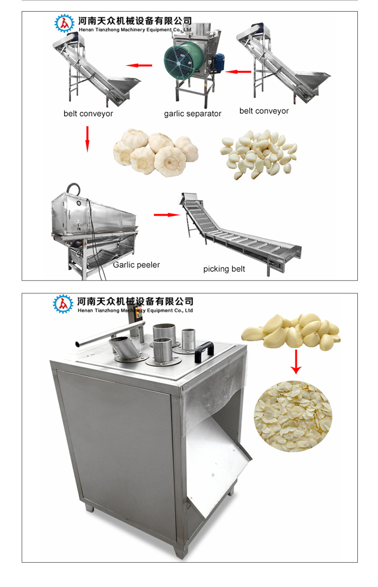 Garlic Peeling Machine Multifunctional Garlic Peeling Machine Stainless Steel Garlic Rice Peeling Machine