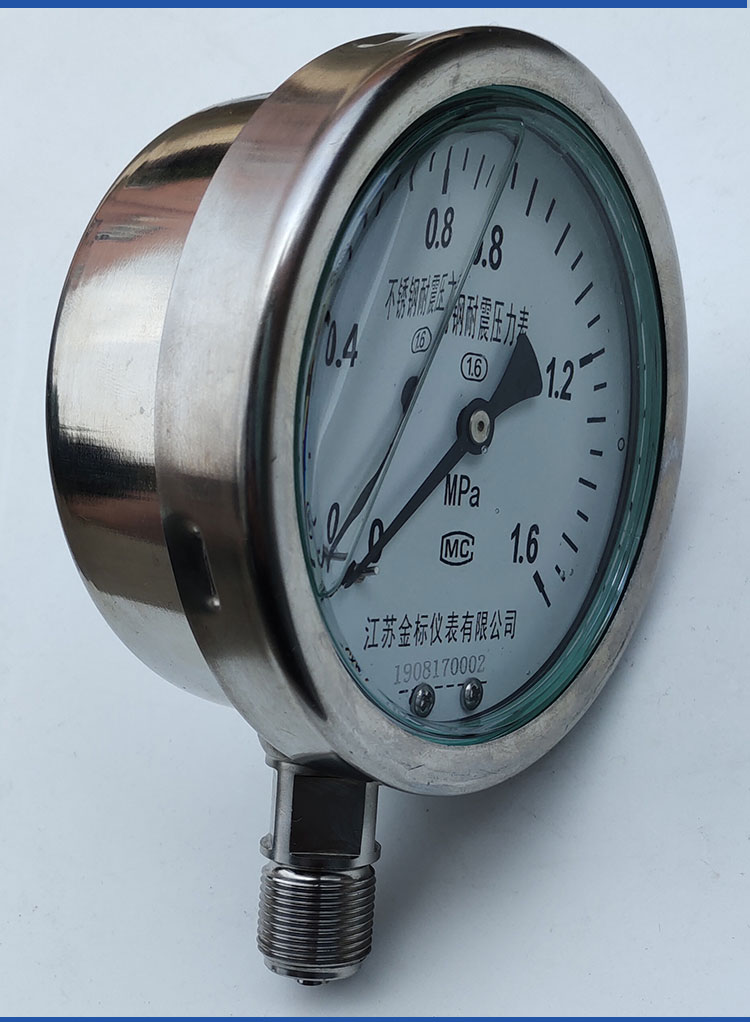 Gold standard instrument pointer Y60/Y100 radial high-pressure anti-corrosion industrial natural gas stainless steel shockproof pressure gauge