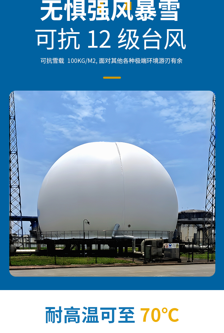 Flexible double membrane gas tank, independent gas storage tank, Hongshuo automatic control, dry biogas gas tank, biogas storage gas tank