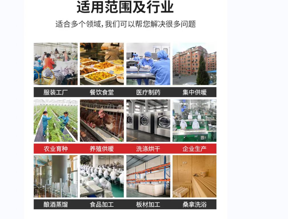 Biomass particles 300kg steam generator, pastry baking, supporting bean products processing, kitchen commercial boiler
