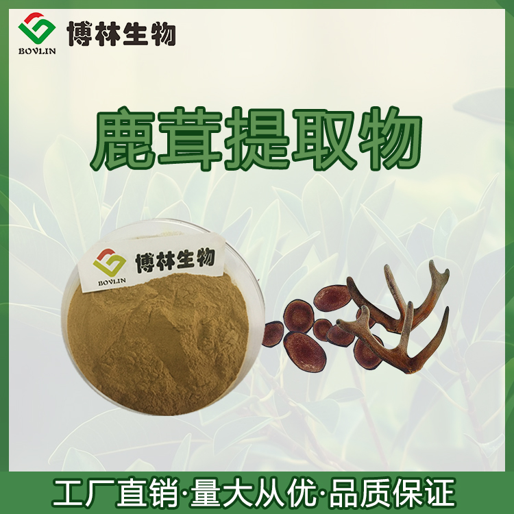 Deer Antler Extract 10:1 Water Soluble Deer Antler Powder High Power Concentration Sample Provided