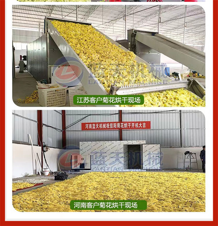 Air energy tobacco flower dryer Intelligent temperature control Long Nicotiana × sanderae Big Nicotiana × sanderae drying room Tobacco grass drying box