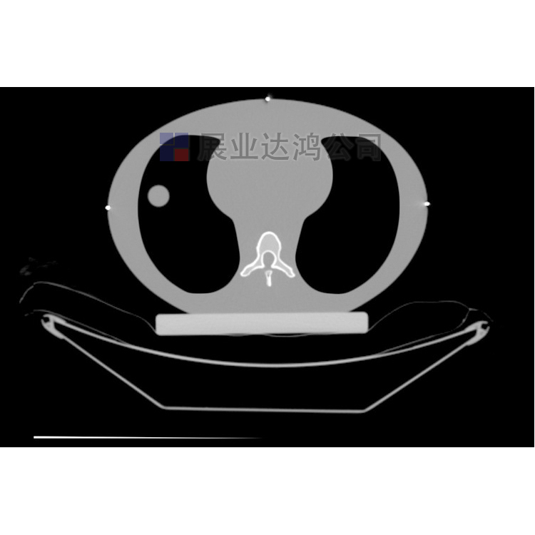 US CIRS 008A Dynamic Chest Phantom CT Diagnosis and Detection Phantom Image Guided Acquisition Phantom