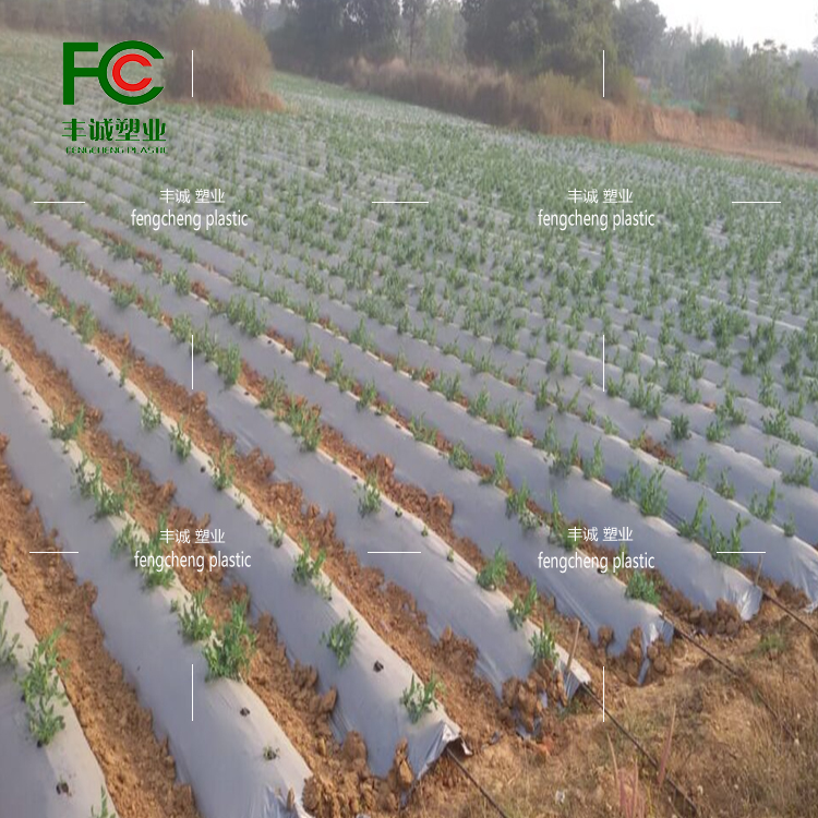 Agricultural perforated plastic film for weeding, insulation and moisturizing, black silver black and white perforated film