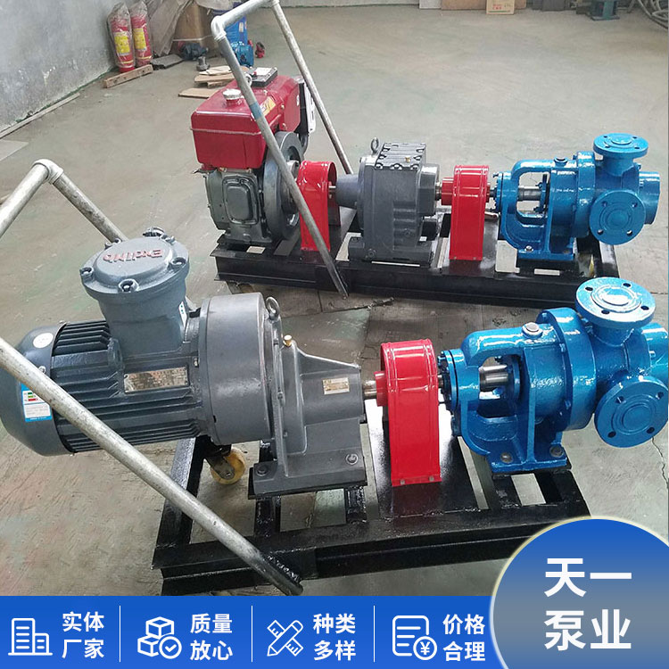 NYP52 high viscosity pump variable frequency stainless steel high viscosity rotor pump delivers smoothly and can be customized by Tianyi Pump Industry