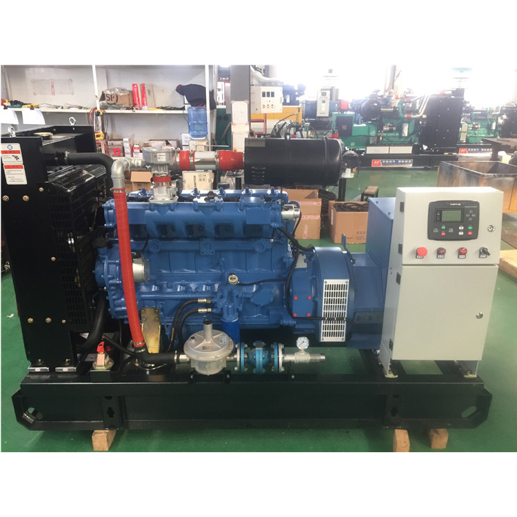 Blue Light Power 50kw Gas Generator Set Small 50kW Natural Gas Biogas Generator