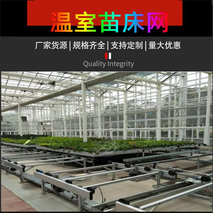 Tailong Greenhouse Corrosion resistant Seedling Bed Net Vegetable Galvanized Planting Net Bed Medicinal Material Planting Frame Customization