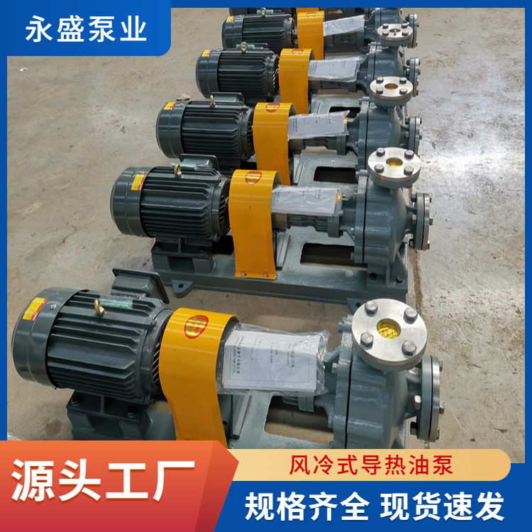 RY heat transfer oil circulation pump heat transfer oil pump stainless steel heat pump manufacturer wholesale Yongsheng