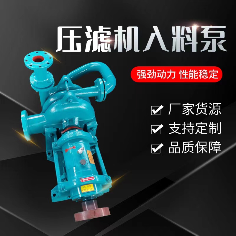 Sandwashing Plant Plate and Frame Filter Press Pump Double Vane Wheel Slurry Pump High Pressure Mud Pump Runs Smoothly Feed Pump Wear Resistance