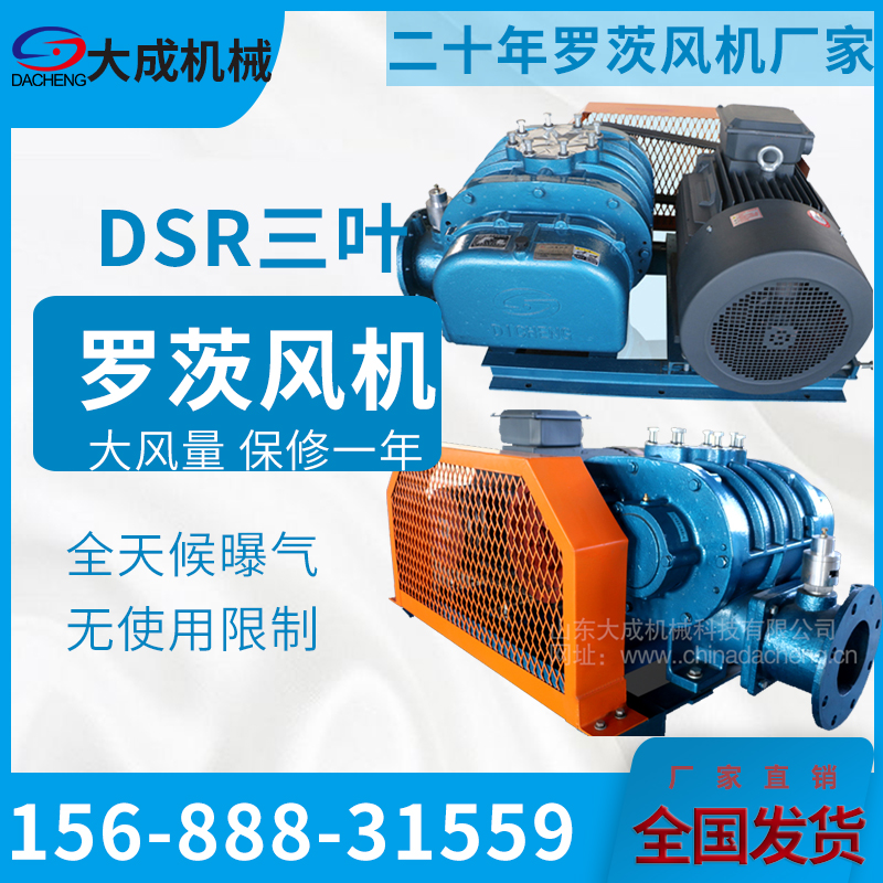 DSR125 Roots blower for sewage treatment, aeration, pneumatic powder conveying