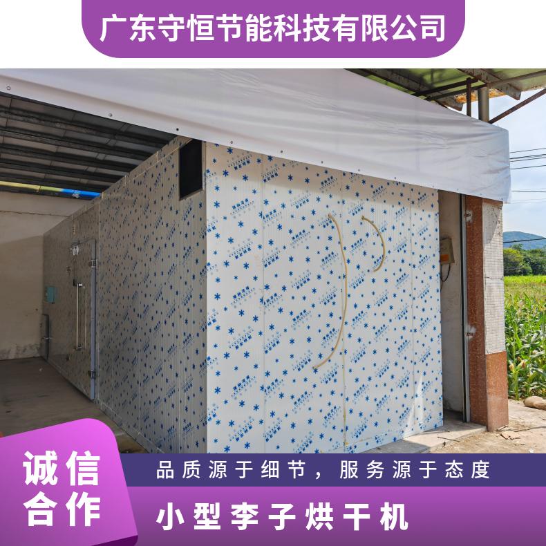 李子烘干机 全自动电加热水果干烘干箱 果脯果肉热风烘干设备 高效率