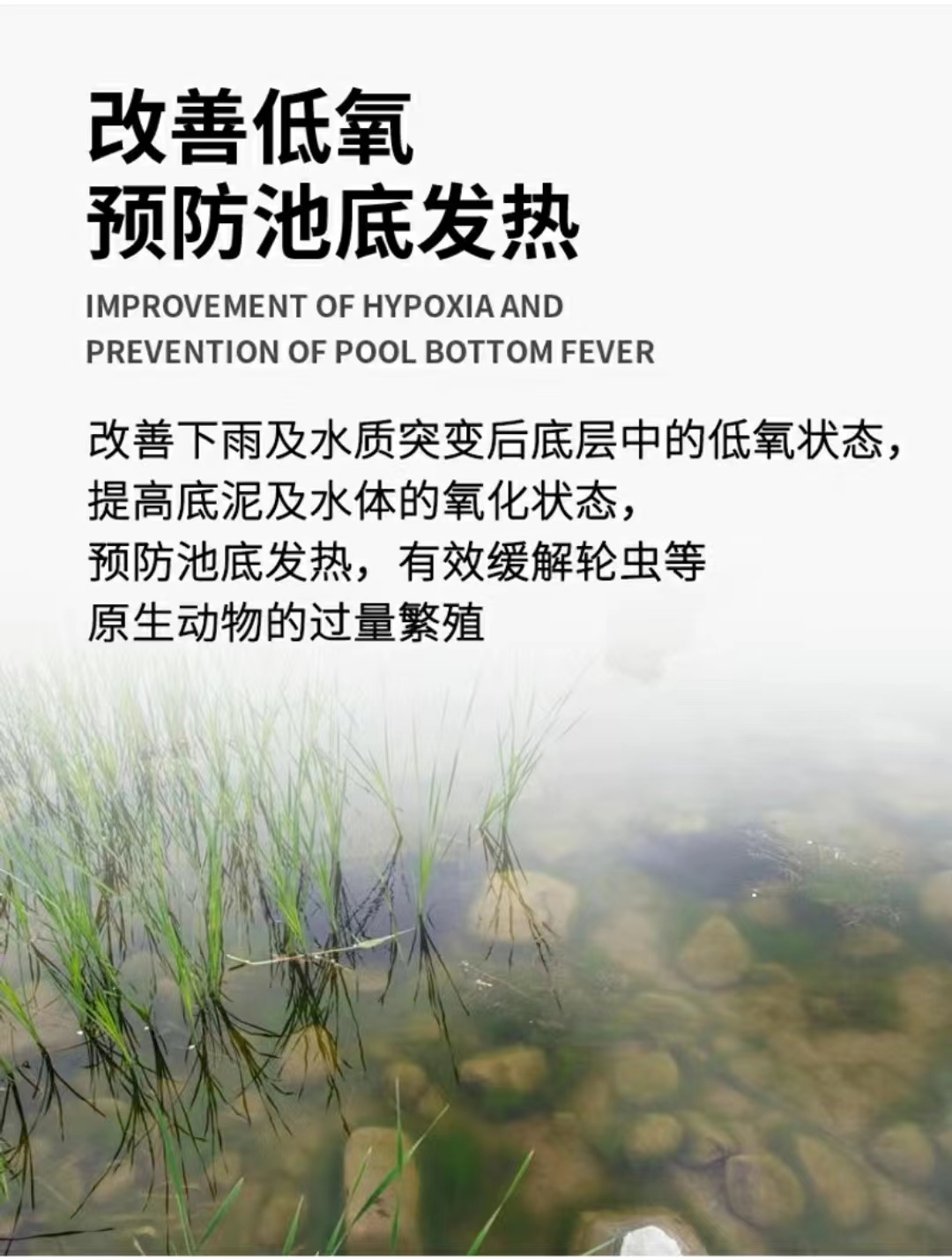 Long term oxygen enhancing ozone sheet modification for bottom water purification, oxygen enhancing deodorization, black sludge and foul odor at the bottom of the pond