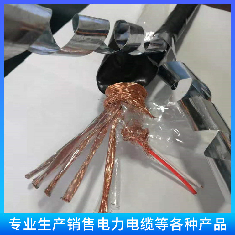鑫津缆 屏蔽计算机电缆 加密编织 DJYPVP 24×2×1.0