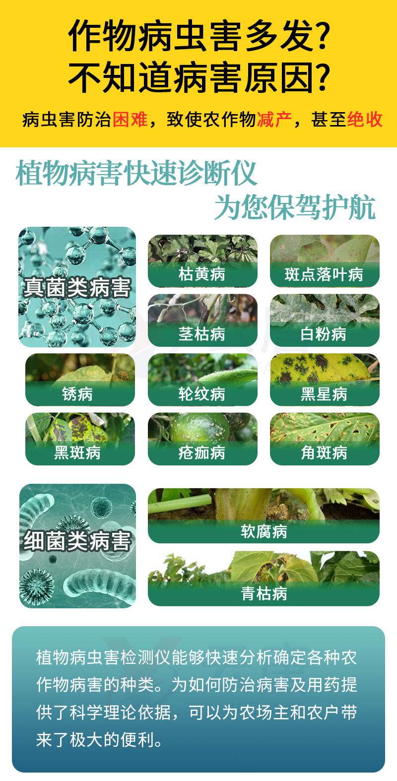 Plant Disease and Pest Diagnosis Instrument ZP-101 Crop Disease Rapid Detection Instrument Plant Disease Diagnosis Equipment