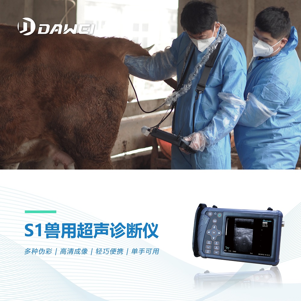 Cattle ultrasound machine, sheep ultrasound machine, sales of pig pregnancy testing equipment, donkey and horse ultrasound machine, manufacturer