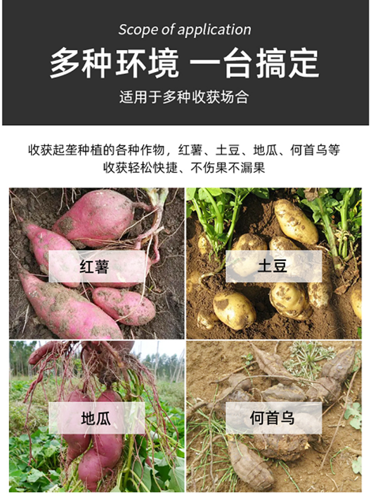 Sweet Potato, Sweet Potato, Sweet Potato, Sweet Potato, Sweet Potato, and Carrot Special Harvester with Four Wheel Suspension, Deep Digging Machine for Potato and Taro without Breaking the Skin