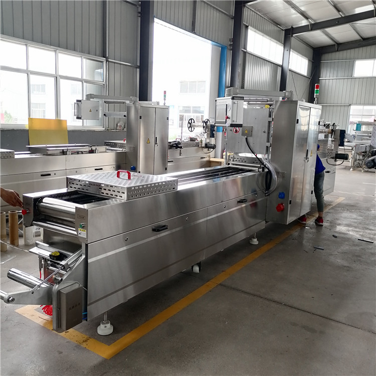 Stretching film continuous packaging machine sausage Thermoforming Vacuum packing equipment automatic evacuation machine