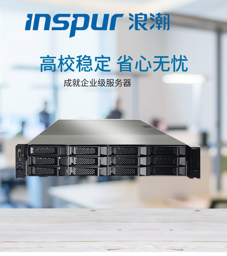 Inspur Yingxin NF5270M5 Xeon Silver 4210/32GB/8TB Server