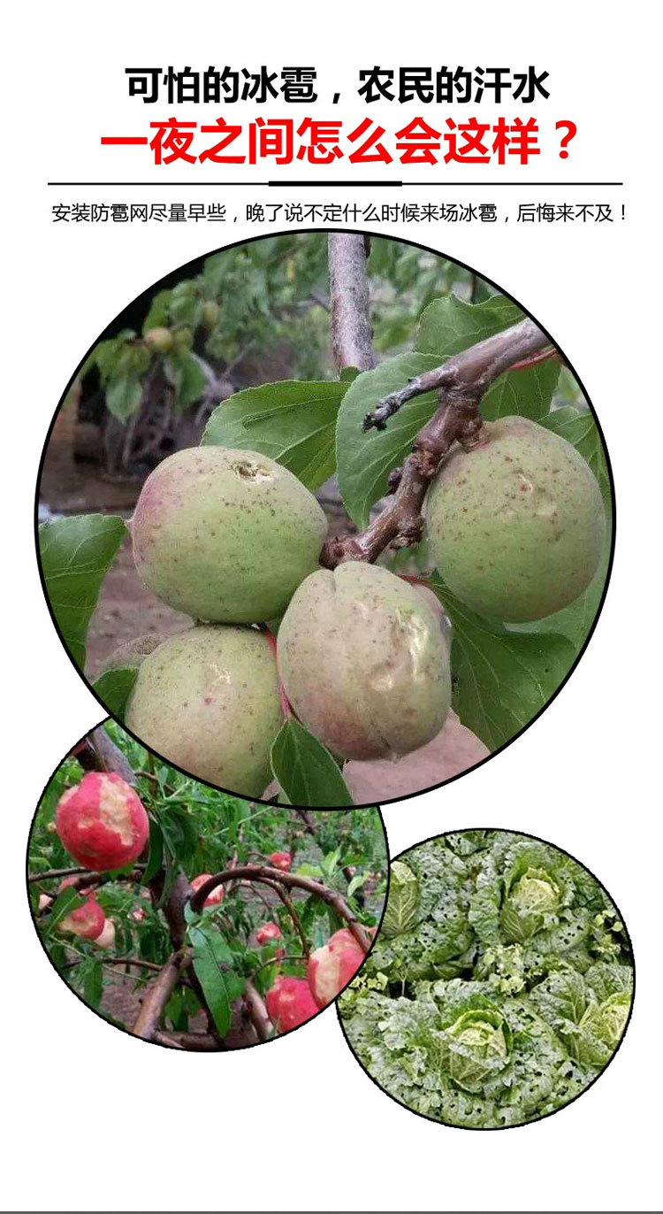 Orchard Hail Prevention Net Apple Grape Pear Tree Fish Pond Goji Berry Greenhouse Hail Prevention Net New Material