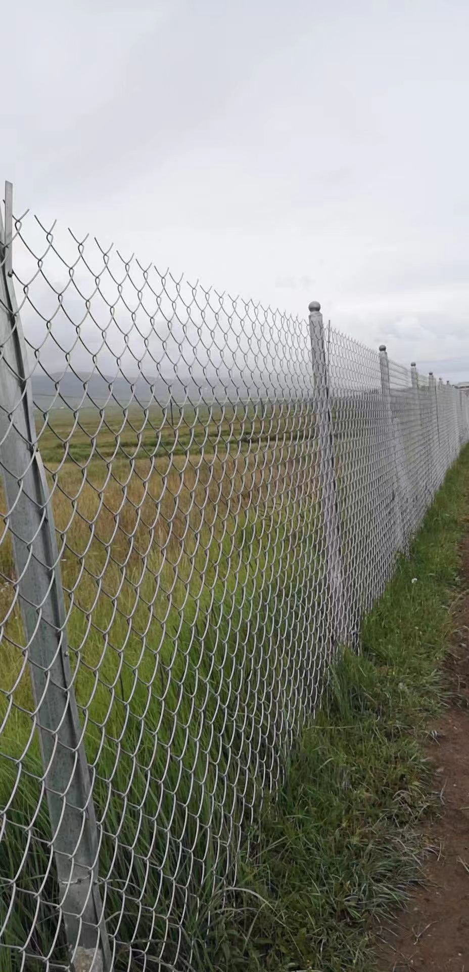 Grassland fence, steel wire fence, woven net fence, pastoral protection net