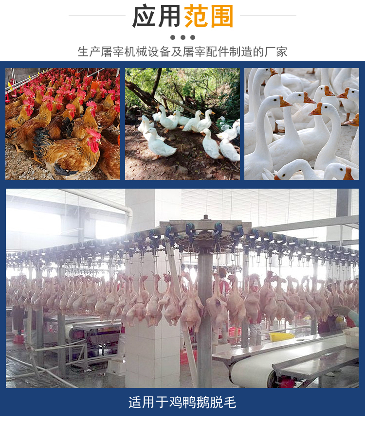 Poultry vertical depilatory machine, meat duck essence depilatory machine, automatic temperature control, soaking and scalding pool, A-shaped depilatory machine for meat chicken