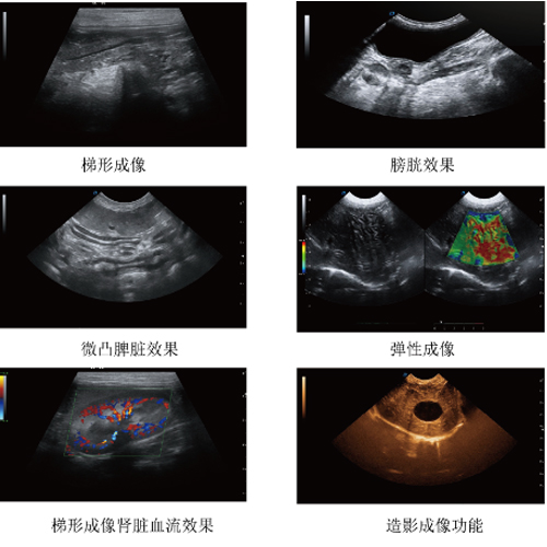 High Resolution Mouse Cardiac Ultrasound Company Large and Small Mouse Cardiac Ultrasound Research Mouse Animal Color Ultrasound Machine