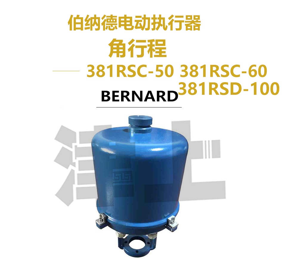 Single-phase angular stroke electric actuator 381RSC-50 381RSC-60 381RSD-100 Jinshang Bernard