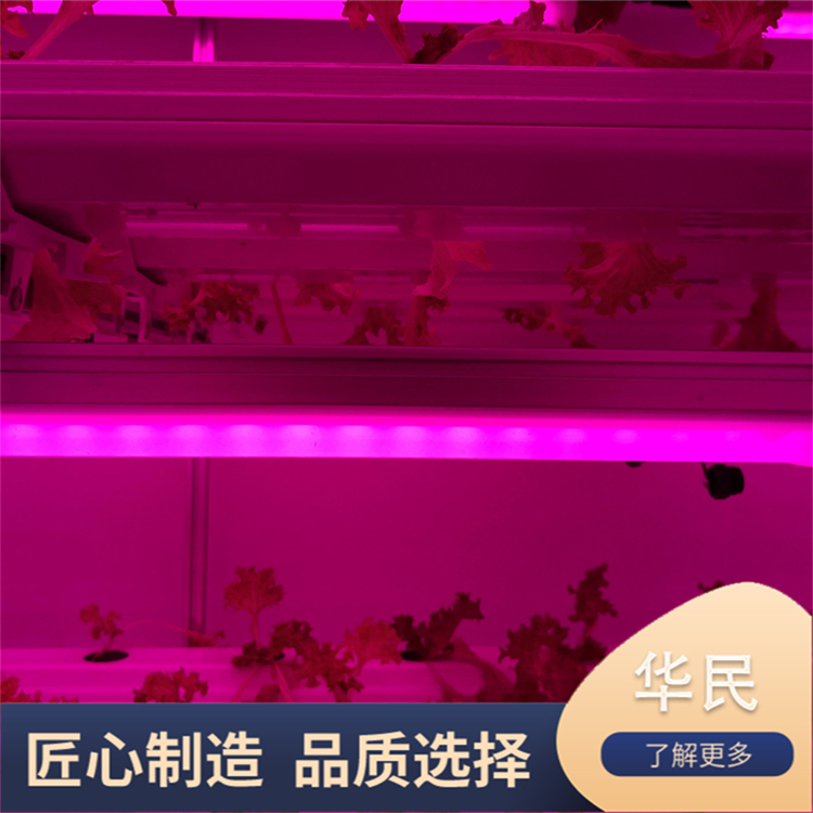 Customized multi-layer hydroponic planting system for intelligent planting of vegetables on balconies of plant factory equipment