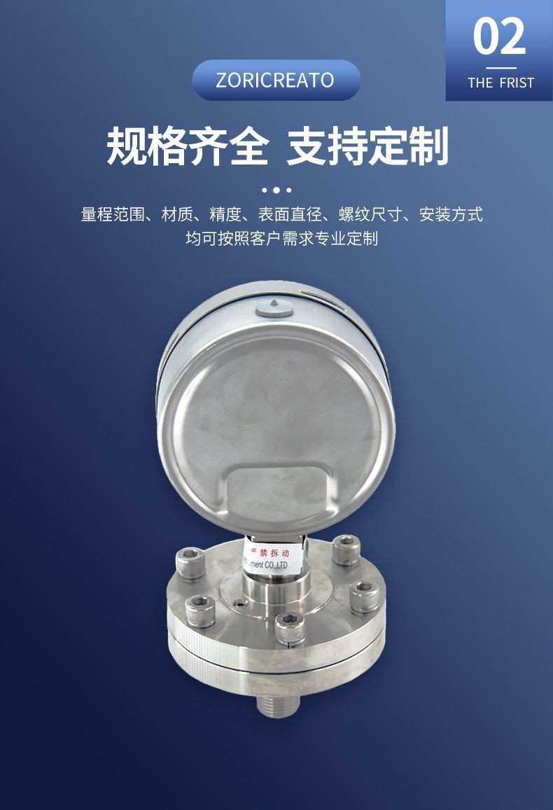 Zhuoran Tiangong Anti Blocking and Oil Filled UPVC Material Threaded Flange Connection Corrosion Resistant Diaphragm Shock Resistant Pressure Gauge