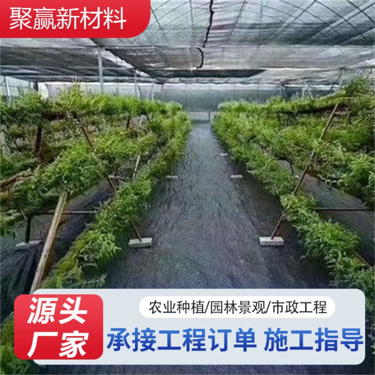 大棚温室蔬菜大棚专用防草布 防潮抑虫透气地布
