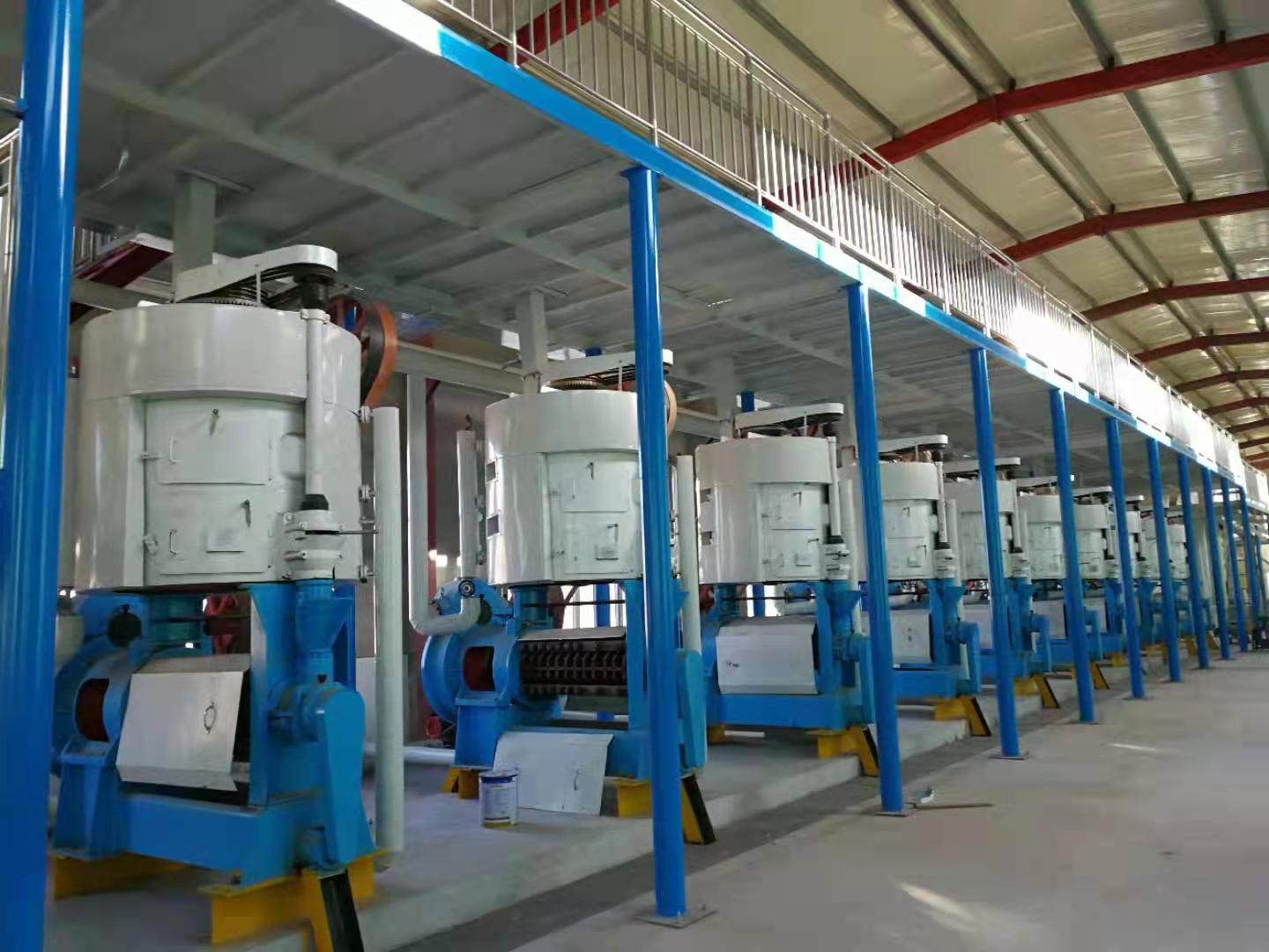 Hydraulic oil press, peanut, rapeseed, soybean multifunctional oil press equipment, economically applicable