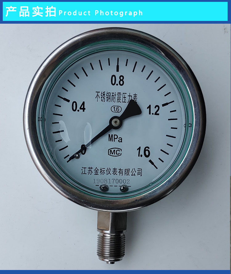 Gold standard instrument pointer Y60/Y100 radial high-pressure anti-corrosion industrial natural gas stainless steel shockproof pressure gauge