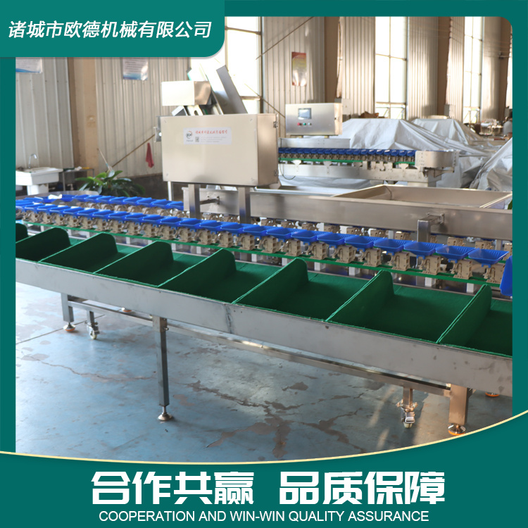 Material box sorting machine, fully automatic aquatic product grading machine, sea cucumber and chicken feet weighing and sorting equipment