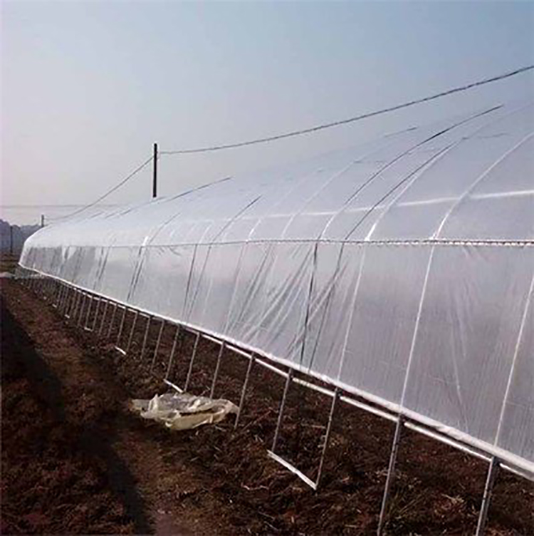 Shuaifeng multifunctional PO greenhouse film, crystal PO film, waterproof and sunscreen manufacturer, directly supplied for production and wholesale of plastic film