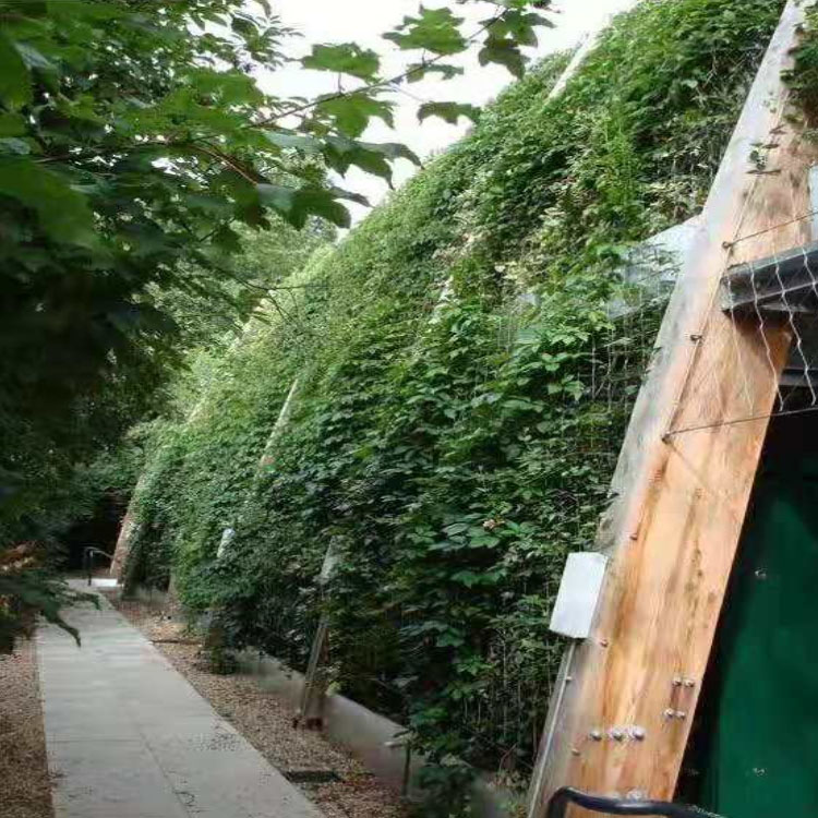 Hengding Stainless Steel Rope Climbing Vine Net Wall Green Plant Climbing Net 304 Horticultural Plant Climbing Vine Woven Net