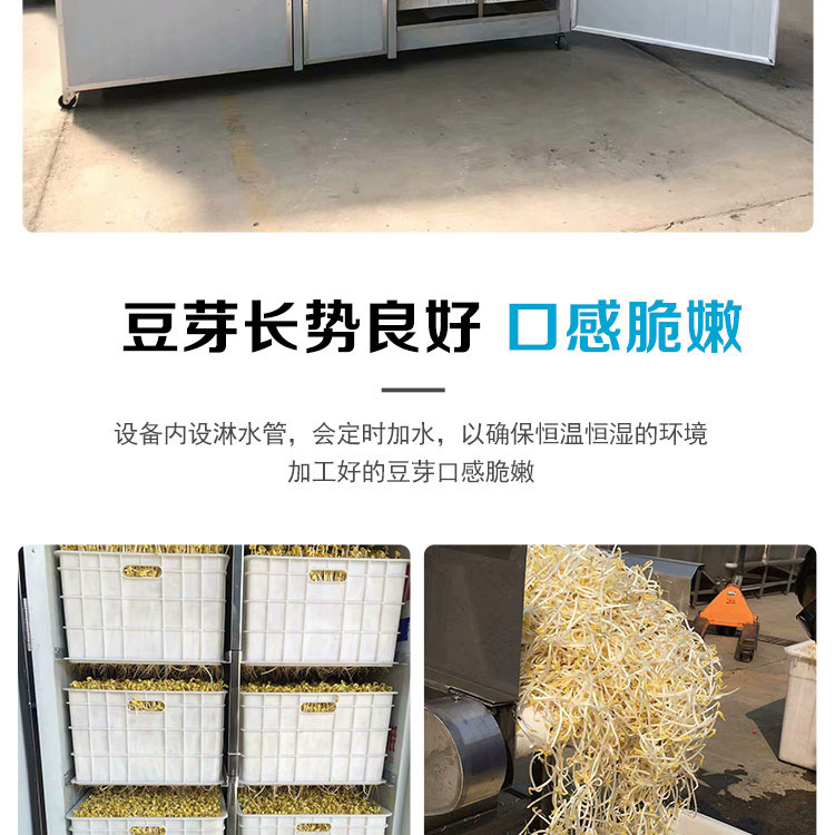 Household 300 catty box type intelligent bean sprout machine The bean sprout production line is fully automated without manual operation