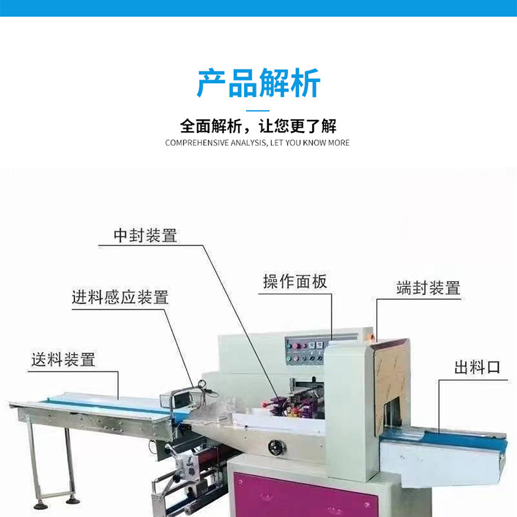 Iced Fresh Chicken Packaging Machine Model Yongchuan 600 Fresh Goose Bagging Machine Frozen Pigeon Preservation Packaging Equipment